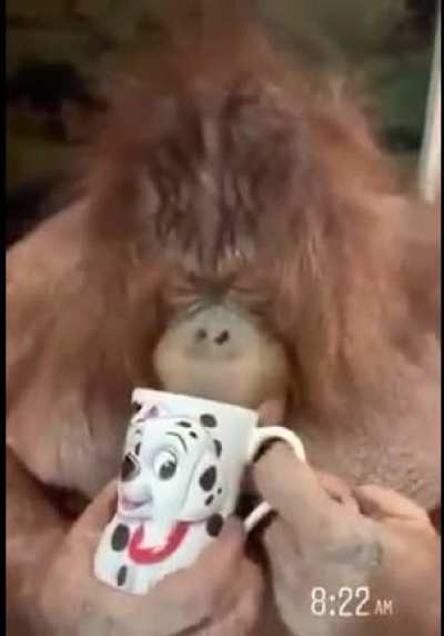 Waking up 6 hours earlier so I can watch pre-market.