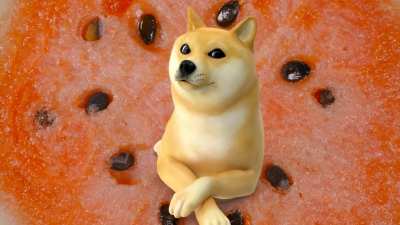 le fruit based transcendence has arrived