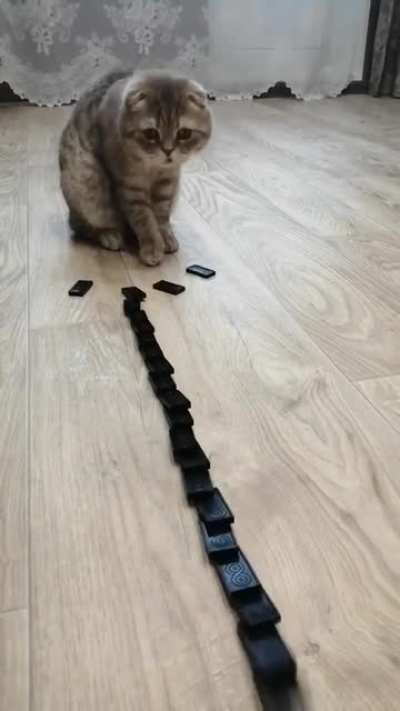 What happened?