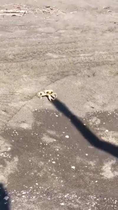 To fight the person