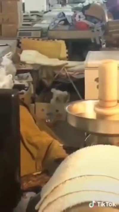Me when Shit Luck plays