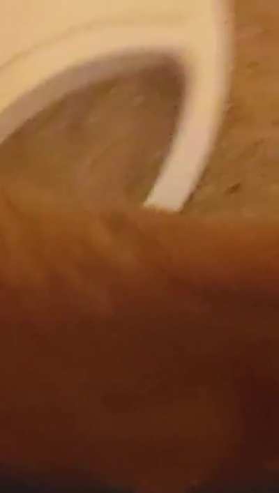 CINNAMON