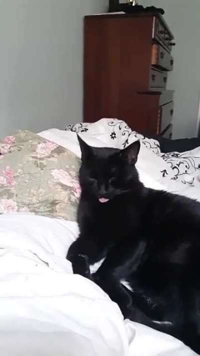 Do your voids ever do this in their sleep?