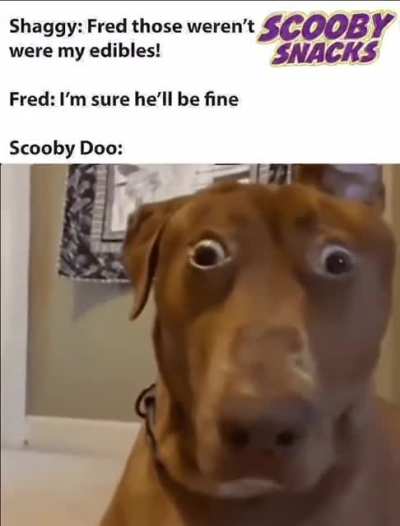 Scoob