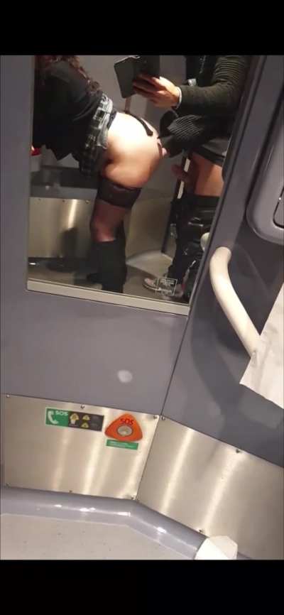 Blanche rebeued dans les toilettes d'un train