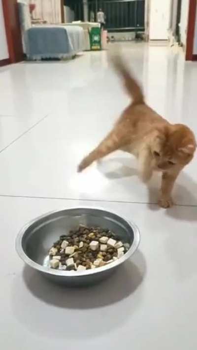 ele ta com fome