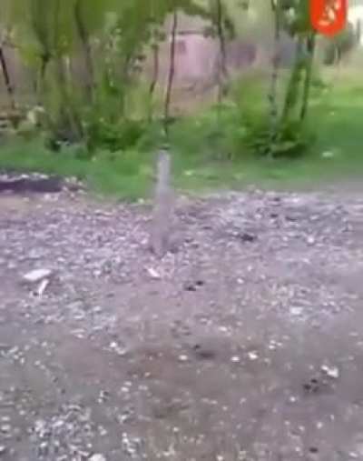 Dropping a lit cigarette into a septic tank