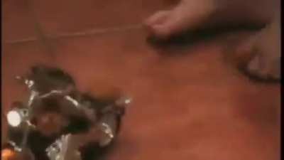Krashy frog