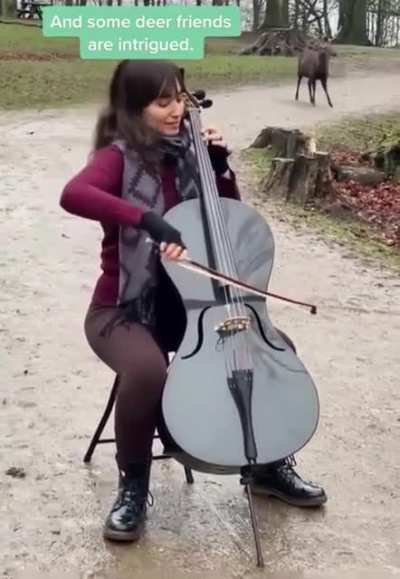 Beautiful music appeals to all