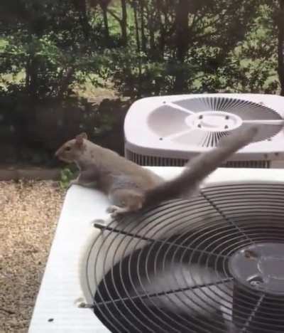 Cooling off the balls.