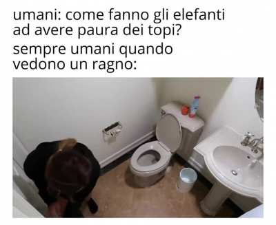 Potete confermare?