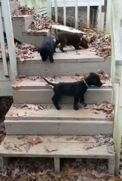 Don't worry bro, just look at how we do it!