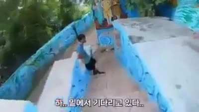 Korean Vlogger Harassed In india, Man Flashes Private Parts