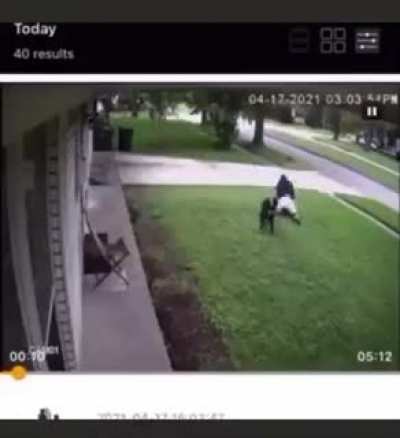 Guy puts the beats on dog for attacking his dog😂😂😂this is wilddd yo