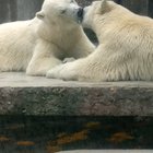 French kissing