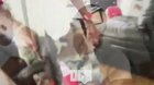 News report turned into a fight