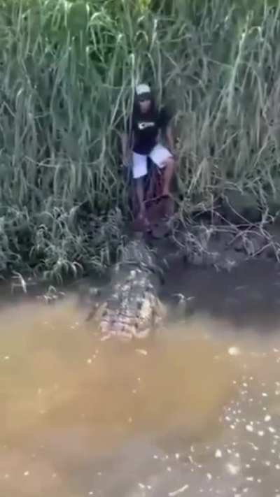 Caiman has a kid cornered and at its complete mercy. Extremely lucky the boat turned up. I would have shat my entire intestinal system out!