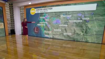 Ginger Zee