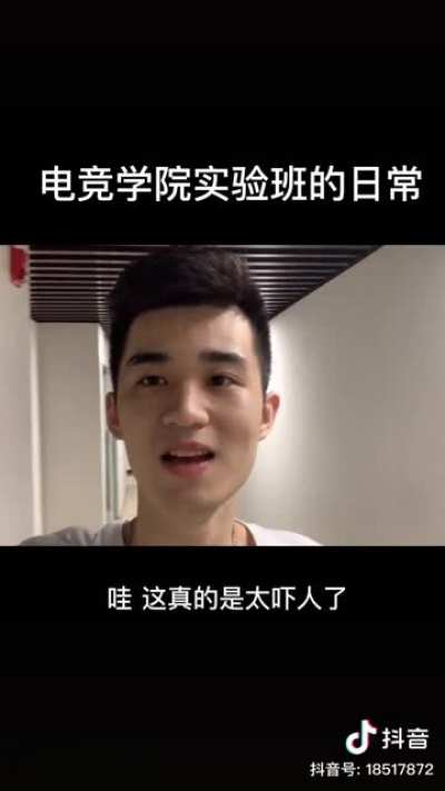 网瘾啥狗日常