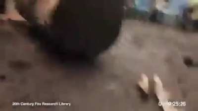 Eles estão evoluindo