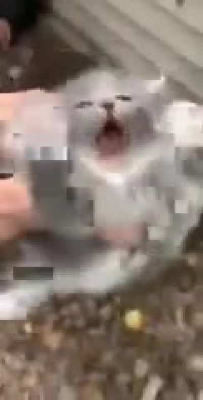 He's not happy