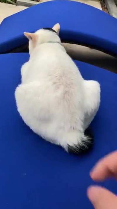 does this count?