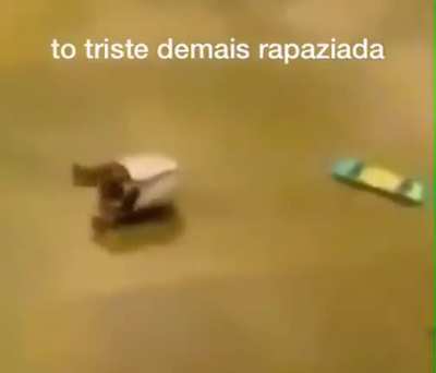 Sim