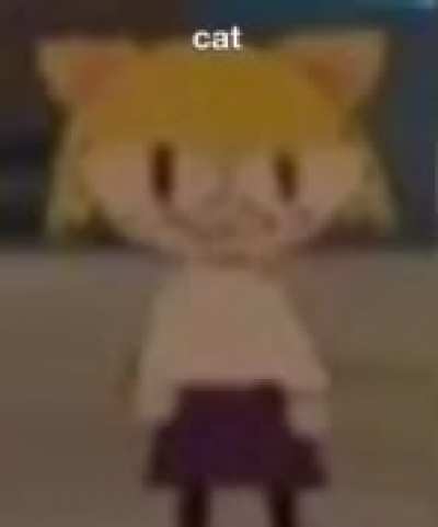 cat