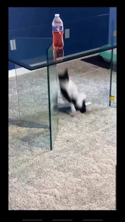 There might've been an attempt to get on top of the table
