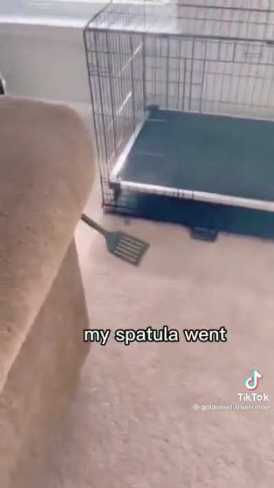 Where could it be