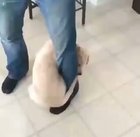 “Stand still human. I’ve been waiting for this my entire life”