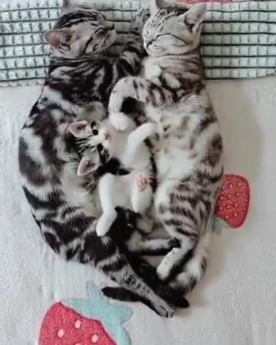 Жизненное