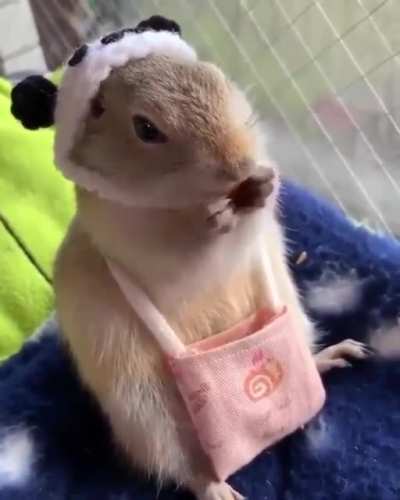 Snack time