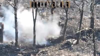 Russians being hit with Ukrainian fire and kamikaze drone