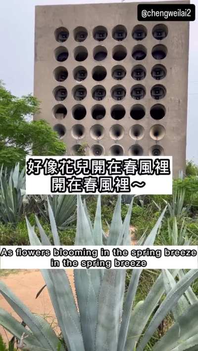 這是金門古寧頭戰役紀念公園留下來的心戰廣播牆。裡頭播放著1960年代鄧麗君錄音的心戰廣播