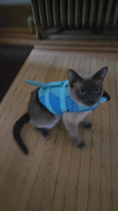 Not feeling his new life jacket