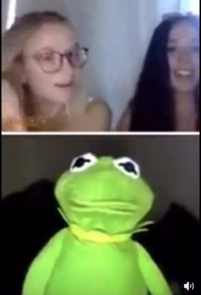 Kermit is up to something questionable...
