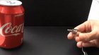 What is this? A gun for ants?