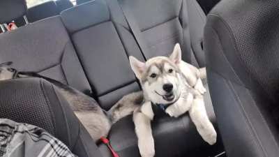 Every car trip......