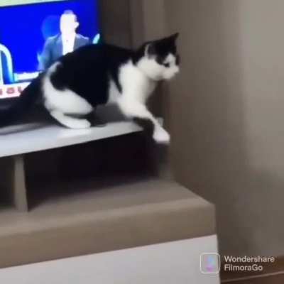 So graceful