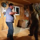 Quite nervous to see if the high five sequence is completed
