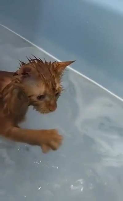 Water hunter