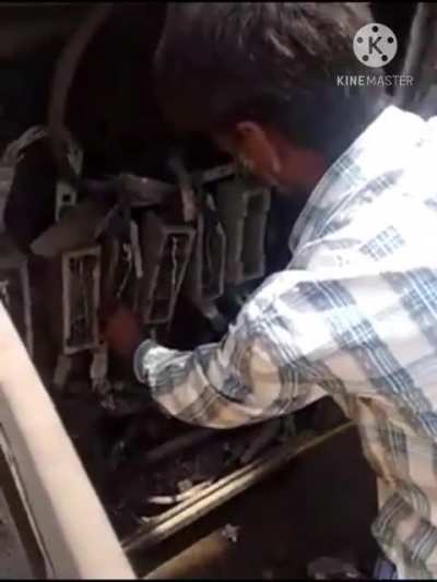 Indian Professional