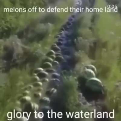 german marching song, I'm pretty sure I downloaded the video from here but I can't find it