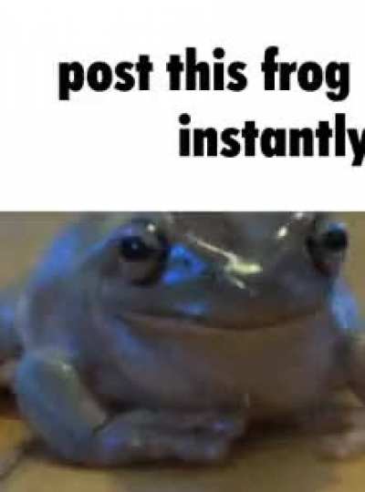 didnt want to break the rules
