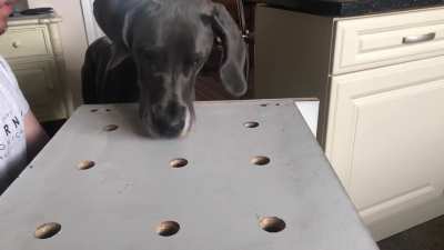 Woof, woof, woof