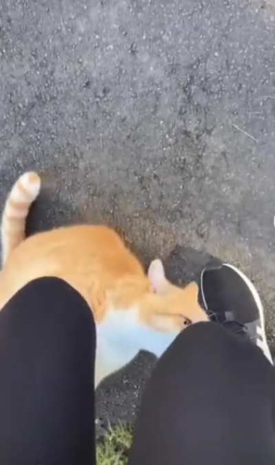 WCGW when looking for a new friend