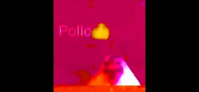 Pollo