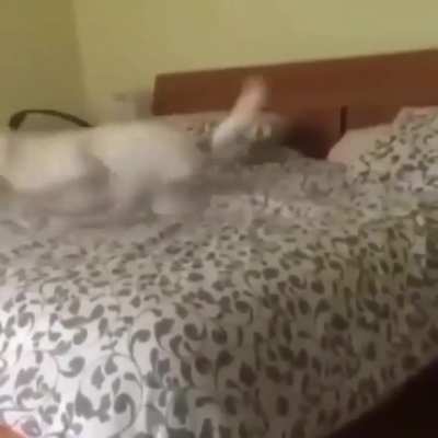 NOOOOO-
