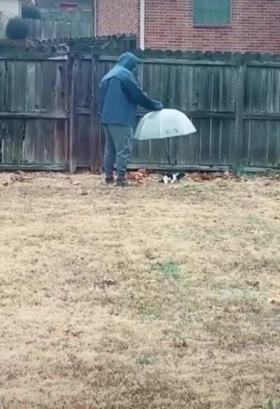 The things we do for love.